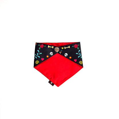 Mexicat Pet Bandana