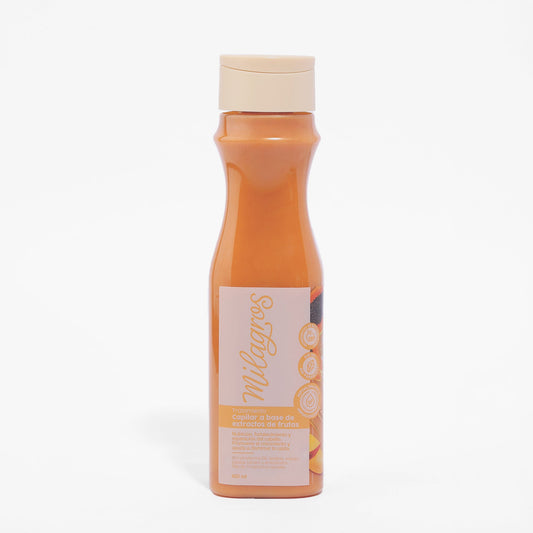 Fruit-Based Hair Treatment 450 ml