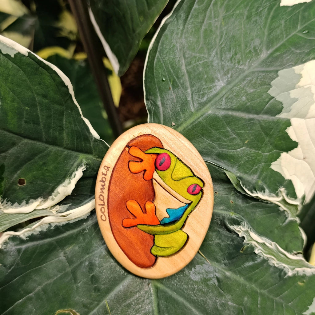 Frog Wooden Fridge Magnet